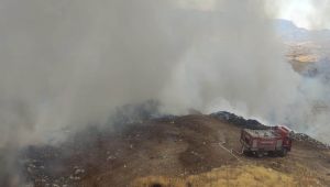 Ormanlık alanda çıkan yangın korkuttu