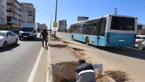 Orta refüjdeki parkeler sökülüp yerine ağaç dikiliyor
