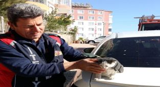 Otomobilin motor kısmına sıkışan kedi kurtarıldı