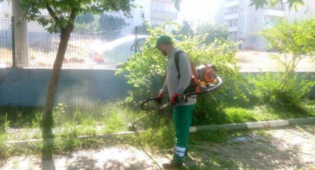 Parklarda Bakım, Onarım ve Düzenleme Çalışması
