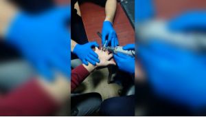 Parmağa Sıkışan Yüzüğü İtfaiye Ekibi Çıkardı - Videolu Haber