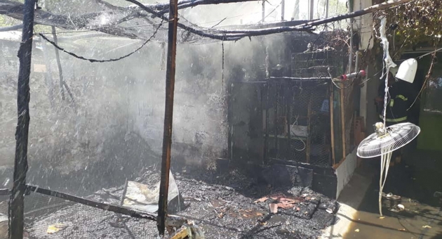 Piknik Tüpü Bomba Gibi Patladı