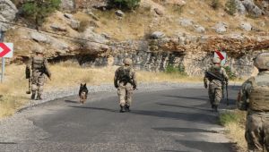 Polis Memurunu Şehit Eden Teröristler Etkisiz Hale Getirildi