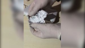 Polis modem cihazına gizlenmiş uyuşturucu madde buldu - Videolu Haber