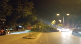 Rüzgar nedeniyle devrilen ağaç yolu trafiğe kapattı