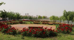 Şanlıurfa Belediyesi park ve bahçeleri yaza hazır hale getiriyor - Videolu Haber