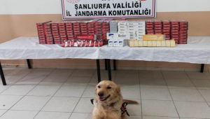 Şanlıurfa'da Kaçak Sigara Operasyonu: 5 Gözaltı