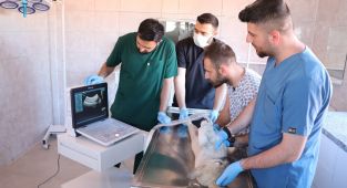 Şanlıurfa’da tam teşekküllü hayvan hastanesi açıldı - Videolu Haber