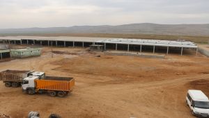 Şanlıurfa, modern hayvan borsası çalışmalarını sürdürüyor - Videolu Haber