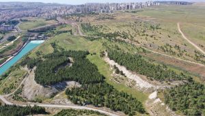 Şanlıurfa’nın yıllardır beklediği hayvanat bahçesi projesi hayata geçiyor