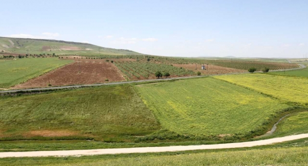 Şanlıurfa Ve Mardin’de Arazi Toplulaştırma Çalışmaları DSİ Genel Müdürlüğü Yetkisinde
