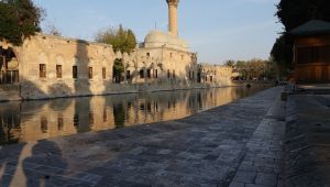 Şanlıurfalılar evden çıkmadı - Videolu Haber