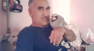 Şarampole yuvarlanan hafriyat kamyonu sürücüsü hayatını kaybetti