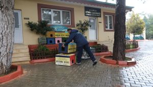 Seçim Sandığından Yalıtımlı Kedi Evi Yaptı