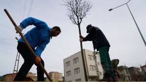 Şehir genelinde ağaçlandırma çalışması devam ediyor