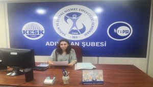 SES Eş Başkanı Doğan: Türkiye’de 100 bin nüfusa düşen hemşire sayısı 306
