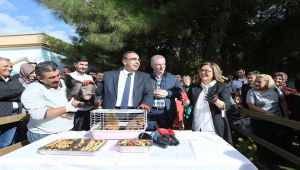 Sevimli Makak Maymunu Yavrularının İsimleri Belirlendi