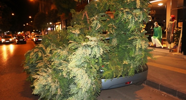 Şiddetli Rüzgardan Otomobilin Üstüne Ağaç Devrildi