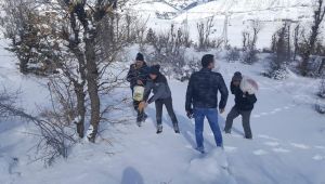Sincik’te Yaban Hayvanları İçin Yabana Yem Bırakıldı