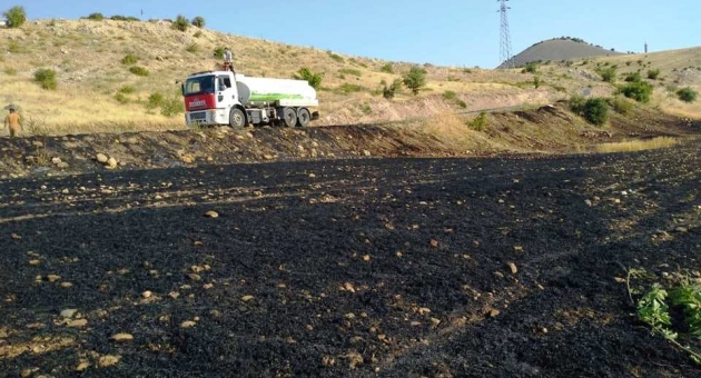 Sincikte 30 Dönüm Arazi Kül Oldu