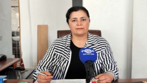 Siyasetçi yazar Ulubey: Siyasi üslup giderek sertleşiyor