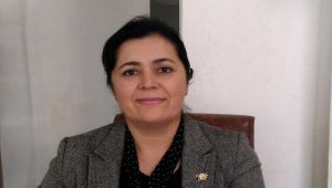 Siyasetçi- Yazar Ulubey: Yerel Gazeteden Yüzlercesi Kapanmak Zorunda Kalacak