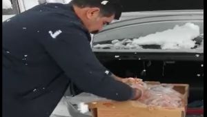 Soğuk havalarda aç kalan sessiz dostları doyurdu