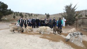 Sokak hayvanlarını besleyen Gaziantep ekibine Nihat Hatipoğlu'da katıldı