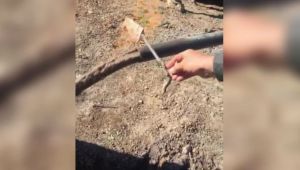 Sondaj kuyusundan çıkan koku alev alınca doğal gaz sevinci yaşandı - Videolu Haber