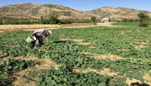 Sosyal yardım parasıyla iş sahibi oldu - Videolu Haber