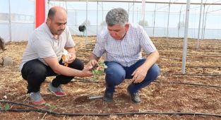Tarımda yeni dönem başlıyor - Videolu Haber