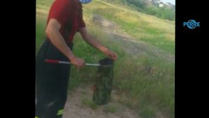 Tavuk Çiftliğinde Görülen Yılanı İtfaiye Ekipleri Yakaladı - Videolu Haber