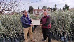 TEMA'dan Kahta İlçe Temsilciği’ne teşekkür belgesi