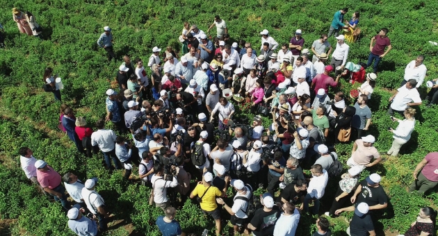 Uluslararası Gaziantep Gastronomi Festivali Başladı