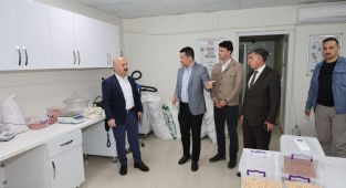 Vali Osman Varol, OSB'de incelemelerde bulundu