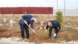 Vefa Ormanı'nın temelleri atıldı