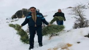 Yaban hayvanları için doğaya yem bırakıldı