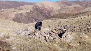 Yaban hayvanları izlemek için fotokapan bırakıldı