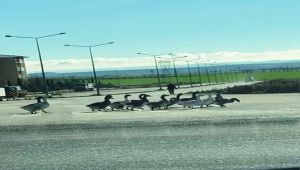 Yaya geçidinden geçen kaz sürüsü sürücüleri şaşkına çevirdi - Videolu Haber
