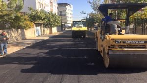 Yeşilyurt Mahallesi’nde Asfalt Çalışması