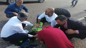 Yola savrulan yaralıya ilk müdahale Milletvekili Aydın’dan geldi