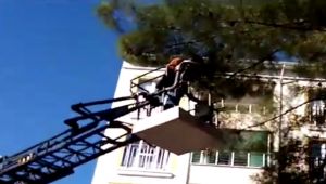 Yuvasından düşen yavru kargayı itfaiye erleri sahiplendi - Videolu Haber