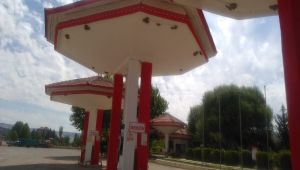 Yüzlerce kırlangıç 10 yıldır mekan tuttuğu petrol istasyonuna yine geldi - Videolu Haber
