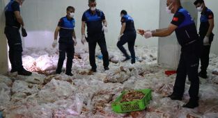 Zabıta ekiplerinden depo baskını: 10 ton kokmuş tavuk eti bulundu - Videolu Haber