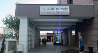 Zeytin toplamak için çıktığı ağaçtan düşerek yaralandı